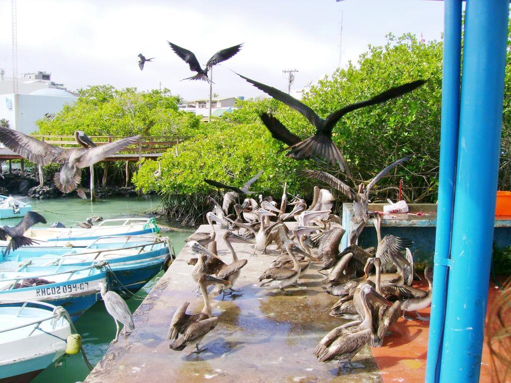 Hotel Pelican Bay Puerto Ayora  Exterior foto